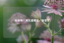 短视频丨阿瓦提棉花，你变了
