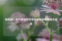 商务部：中方将适时发布中美经贸磋商相关消息