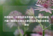 抖音粉丝，抖音粉丝业务套餐，抖音上的秘密力量—揭秘粉丝增长之道亿乐社区低价自营货源站