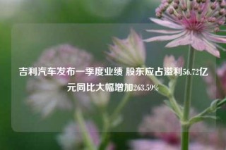 吉利汽车发布一季度业绩 股东应占溢利56.72亿元同比大幅增加263.59%