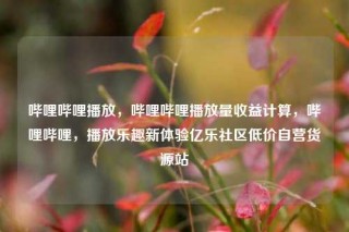 哔哩哔哩播放，哔哩哔哩播放量收益计算，哔哩哔哩，播放乐趣新体验亿乐社区低价自营货源站