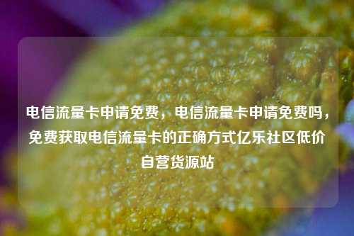 电信流量卡申请免费	，电信流量卡申请免费吗，免费获取电信流量卡的正确方式亿乐社区低价自营货源站  第1张