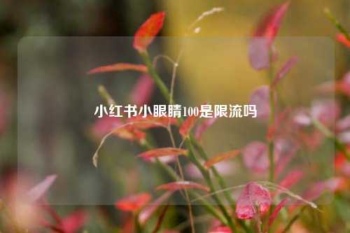 小红书小眼睛100是限流吗  第1张