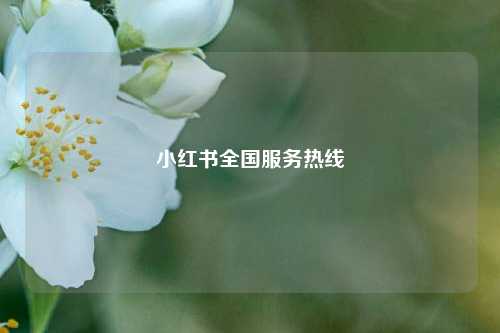 小红书全国服务热线  第1张