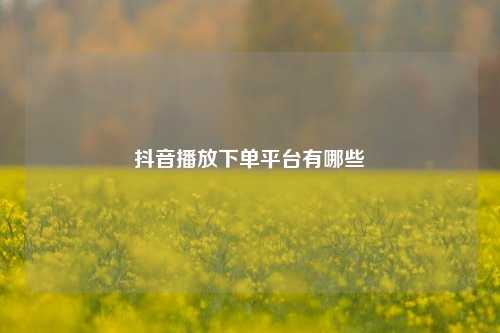 抖音播放下单平台有哪些  第1张