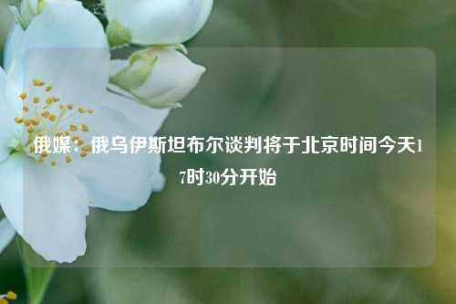 俄媒：俄乌伊斯坦布尔谈判将于北京时间今天17时30分开始  第1张