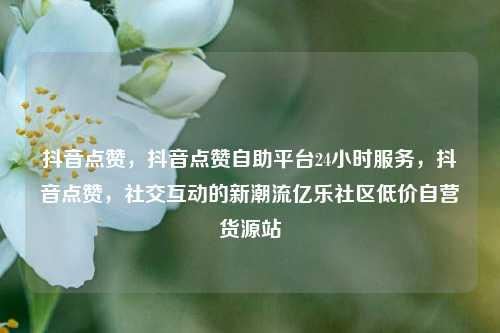 抖音点赞，抖音点赞自助平台24小时服务，抖音点赞，社交互动的新潮流亿乐社区低价自营货源站  第1张