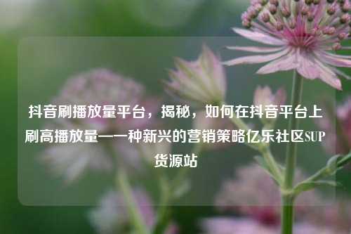 抖音刷播放量平台，揭秘，如何在抖音平台上刷高播放量—一种新兴的营销策略亿乐社区SUP货源站  第1张