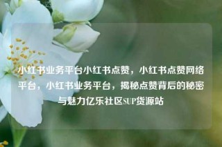 小红书业务平台小红书点赞，小红书点赞网络平台，小红书业务平台，揭秘点赞背后的秘密与魅力亿乐社区SUP货源站