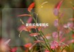 超低价海报图片