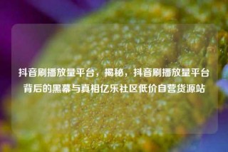 抖音刷播放量平台，揭秘，抖音刷播放量平台背后的黑幕与真相亿乐社区低价自营货源站