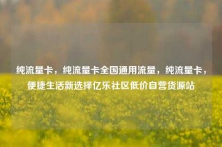 纯流量卡，纯流量卡全国通用流量，纯流量卡，便捷生活新选择亿乐社区低价自营货源站