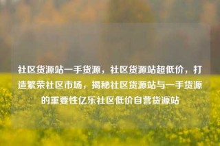 社区货源站一手货源，社区货源站超低价，打造繁荣社区市场，揭秘社区货源站与一手货源的重要性亿乐社区低价自营货源站