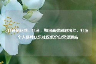 抖音刷粉丝，抖音，如何高效刷取粉丝，打造个人品牌亿乐社区低价自营货源站