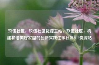 玖伍社区，玖伍社区货源主站，玖伍社区，构建和谐美好家园的创新实践亿乐社区SUP货源站
