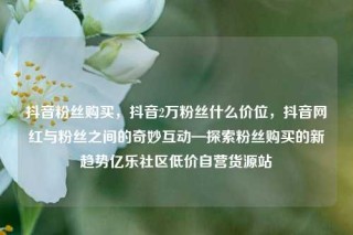 抖音粉丝购买，抖音2万粉丝什么价位，抖音网红与粉丝之间的奇妙互动—探索粉丝购买的新趋势亿乐社区低价自营货源站