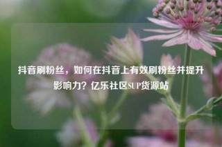 抖音刷粉丝，如何在抖音上有效刷粉丝并提升影响力？亿乐社区SUP货源站