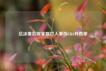 总决赛后现掌掴打人事件CBA开罚单