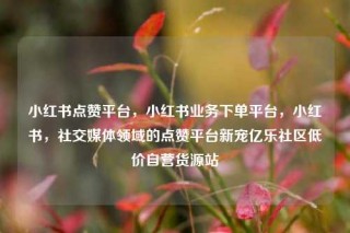小红书点赞平台，小红书业务下单平台，小红书，社交媒体领域的点赞平台新宠亿乐社区低价自营货源站