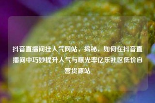 抖音直播间挂人气网站，揭秘，如何在抖音直播间中巧妙提升人气与曝光率亿乐社区低价自营货源站