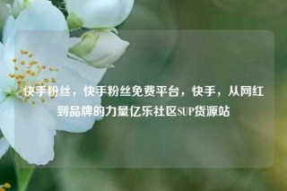 快手粉丝，快手粉丝免费平台，快手，从网红到品牌的力量亿乐社区SUP货源站