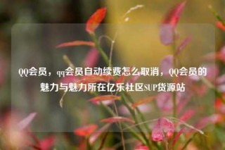 QQ会员，qq会员自动续费怎么取消，QQ会员的魅力与魅力所在亿乐社区SUP货源站
