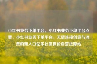 小红书业务下单平台，小红书业务下单平台点赞，小红书业务下单平台，无缝连接创意与消费的新入口亿乐社区低价自营货源站