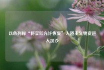 以色列称“将立即允许恢复”人道主义物资进入加沙