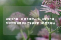 流量卡办理，流量卡办理入口，流量卡办理，轻松获取便捷服务亿乐社区低价自营货源站