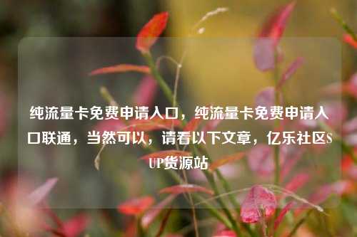 纯流量卡免费申请入口，纯流量卡免费申请入口联通，当然可以，请看以下文章	，亿乐社区SUP货源站  第1张