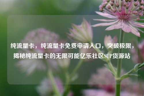 纯流量卡，纯流量卡免费申请入口，突破极限	，揭秘纯流量卡的无限可能亿乐社区SUP货源站  第1张