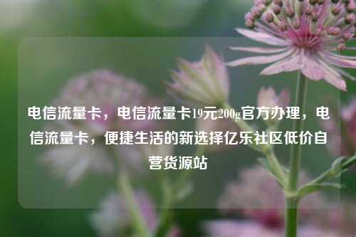 电信流量卡，电信流量卡19元200g官方办理，电信流量卡	，便捷生活的新选择亿乐社区低价自营货源站  第1张