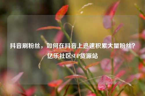 抖音刷粉丝，如何在抖音上迅速积累大量粉丝？亿乐社区SUP货源站  第1张