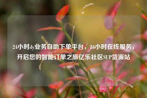 24小时dy业务自助下单平台	，24小时在线服务，开启您的智能订单之旅亿乐社区SUP货源站  第1张