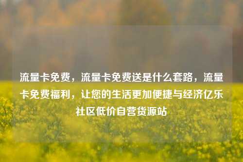 流量卡免费，流量卡免费送是什么套路，流量卡免费福利，让您的生活更加便捷与经济亿乐社区低价自营货源站  第1张