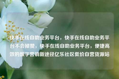 快手在线自助业务平台，快手在线自助业务平台不会掉赞	，快手在线自助业务平台，便捷高效的数字营销新途径亿乐社区低价自营货源站  第1张