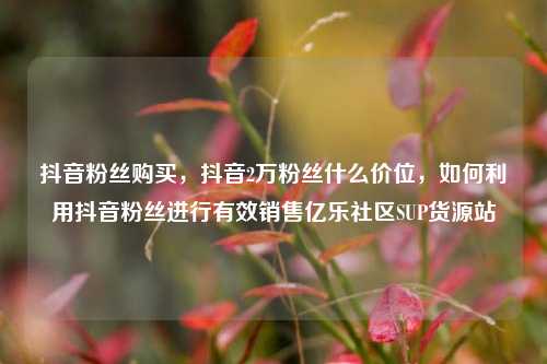 抖音粉丝购买，抖音2万粉丝什么价位	，如何利用抖音粉丝进行有效销售亿乐社区SUP货源站  第1张