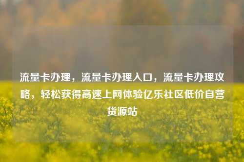 流量卡办理，流量卡办理入口，流量卡办理攻略	，轻松获得高速上网体验亿乐社区低价自营货源站  第1张