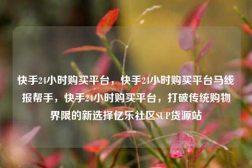 快手24小时购买平台，快手24小时购买平台马线报帮手	，快手24小时购买平台，打破传统购物界限的新选择亿乐社区SUP货源站  第1张