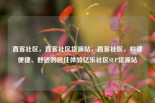 直客社区，直客社区货源站	，直客社区，构建便捷	、舒适的居住体验亿乐社区SUP货源站  第1张
