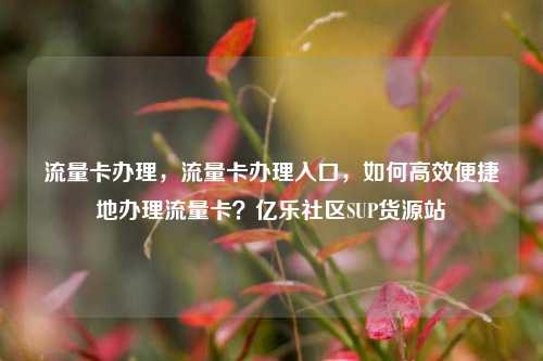 流量卡办理，流量卡办理入口	，如何高效便捷地办理流量卡？亿乐社区SUP货源站  第1张